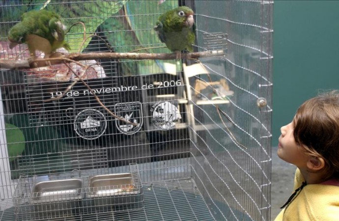 Puerto Rico inaugura su primer Centro Ornitológico