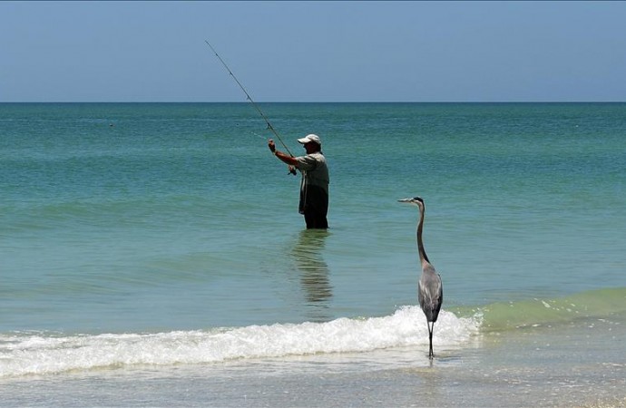 Playa de Florida elegida la mejor de EE.UU. por usuarios de portal de viajes