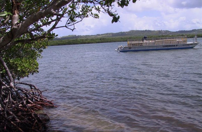 Averiados 2 de los 6 barcos que dan servicio público de transporte en Puerto Rico
