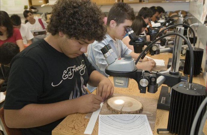UCLA crea programa de ayuda bilingüe para fomentar las ciencias y matemáticas