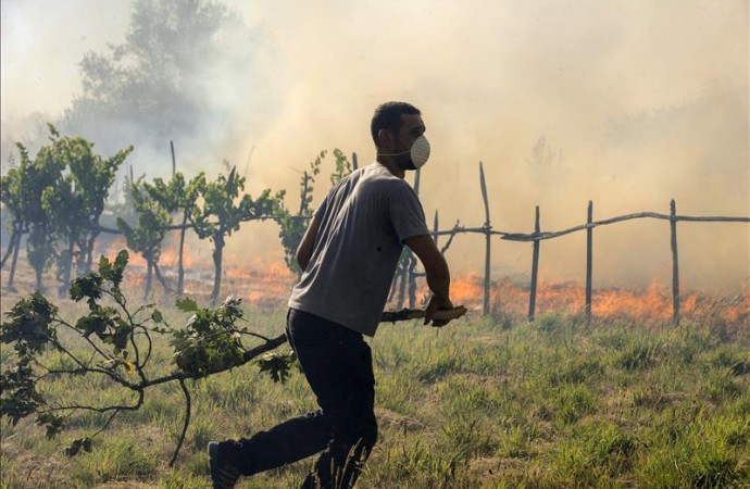 Movilizan a Guardia Nacional para sofocar incendio forestal en Puerto Rico