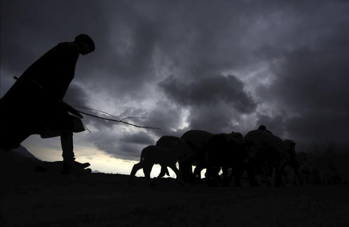 Los pastores ovejeros de las Rocosas llevan una vida indigna, según activista