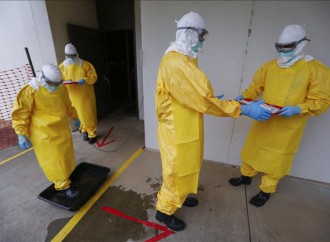 Virus de ébola permanece hasta nueve meses en semen de enfermos según estudio