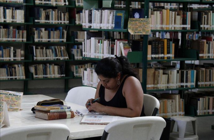 Líderes hispanos de Chicago piden renovar y expandir biblioteca en Pilsen