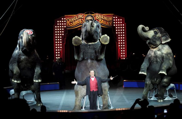 El circo Ringling Bros de EE.UU. dejará de usar elefantes en sus espectáculos