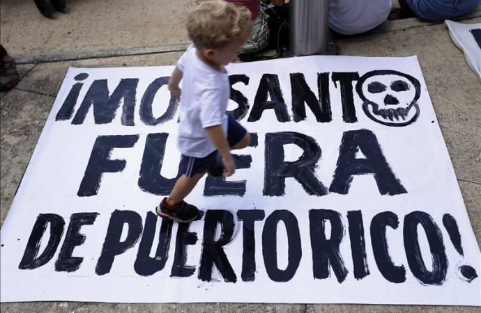 Cientos se manifiestan contra la experimentación de Monsanto en Puerto Rico
