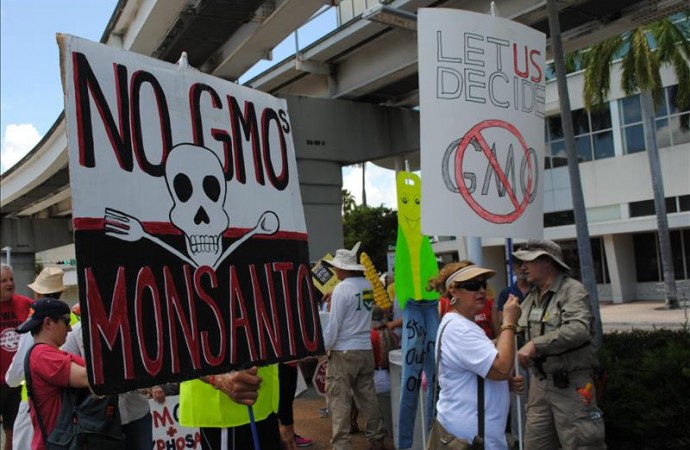 Protestan en Miami para que se etiqueten los  alimentos genéticamente modificados