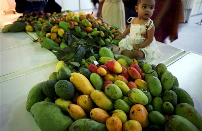 Miami alberga un festival que rinde tributo a la diversidad del mango