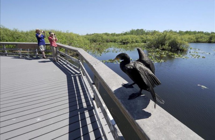 Investigadores Florida participan en proyectos sobre retos medioambientales