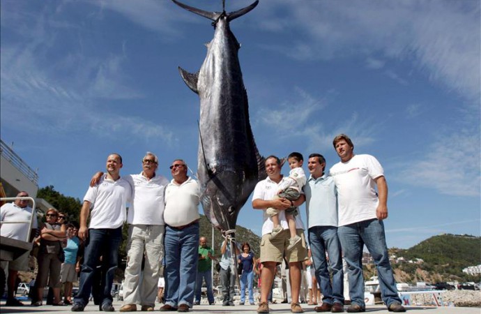 Pescadores de 7 países competirán en torneo pesca aguja azul en Puerto Rico