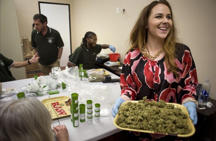 Senadora busca apoyo para legalizar el uso de la marihuana medicinal