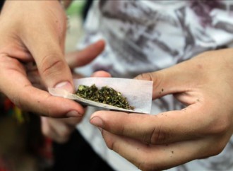 Colegio Médicos de Puerto  Rico alerta contra la marihuana con fines medicinales