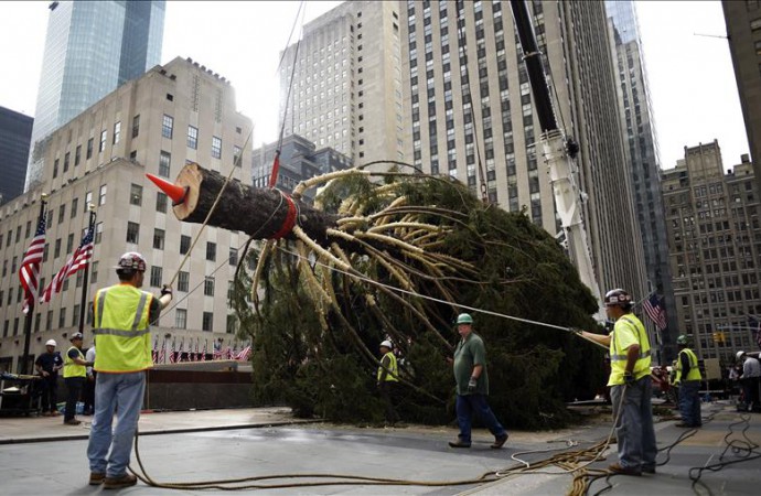 El emblemático árbol de Navidad del Rockefeller Center ya está en Nueva York