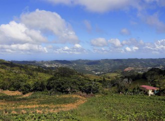 Puerto Rico contará con 786 hectáreas más de terrenos protegidos