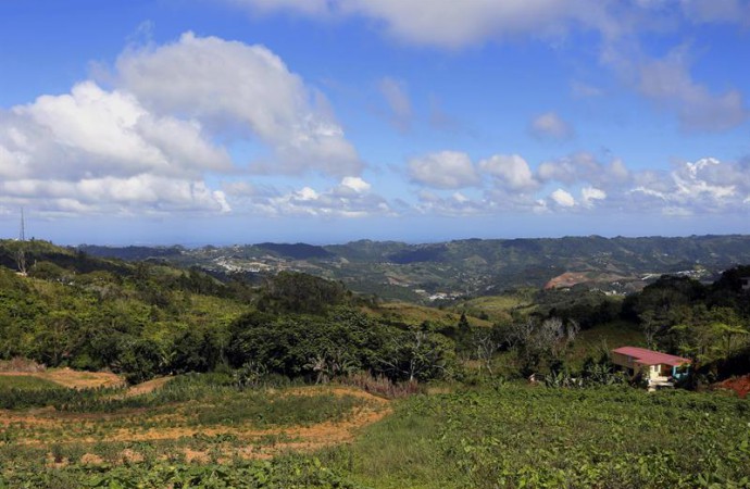 Puerto Rico contará con 786 hectáreas más de terrenos protegidos